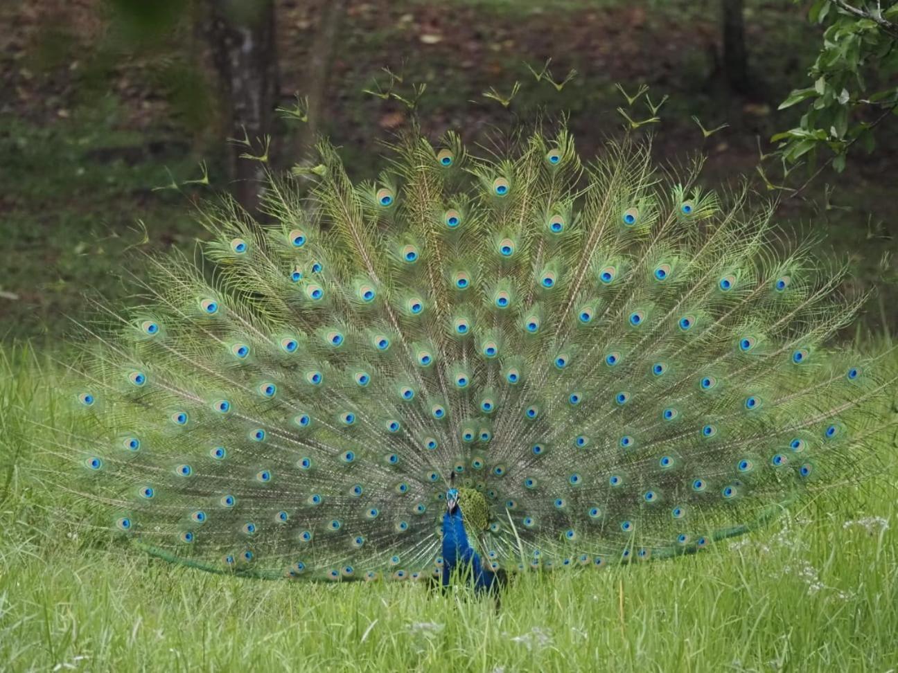 Nature'S Rest Элла Экстерьер фото
